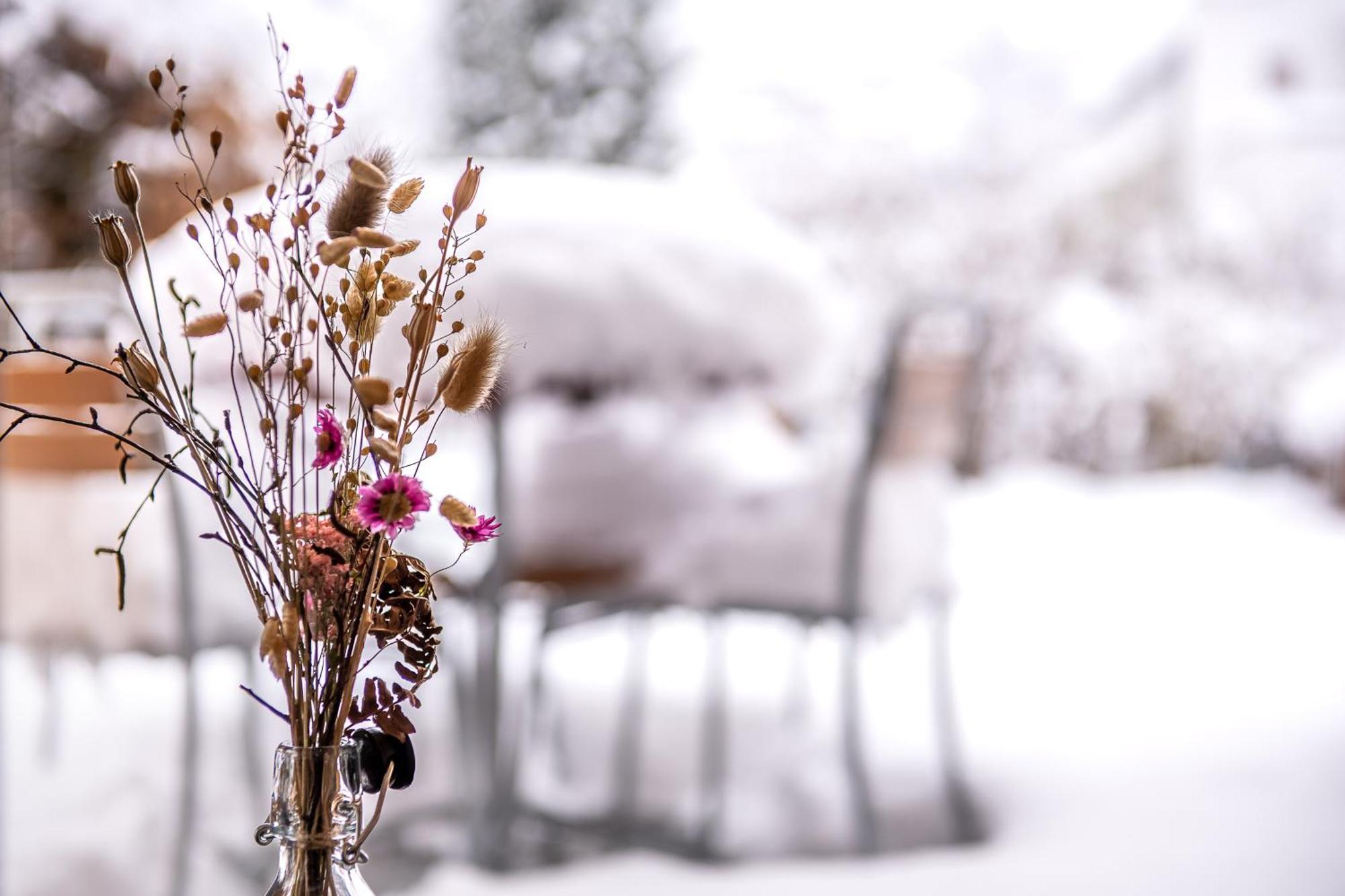 Flem Mountain Lodge Flims Dış mekan fotoğraf